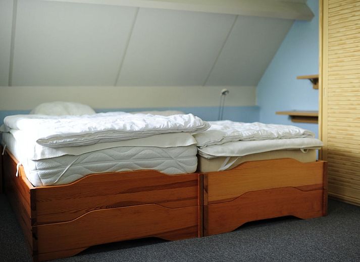 Guest house 6601254 - Holiday property Goeree-Overflakkee - 245442