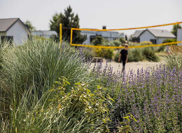 Unterkunft 6601288 - Ferienhaus Goeree-Overflakkee - Strandpark Duynhille 4