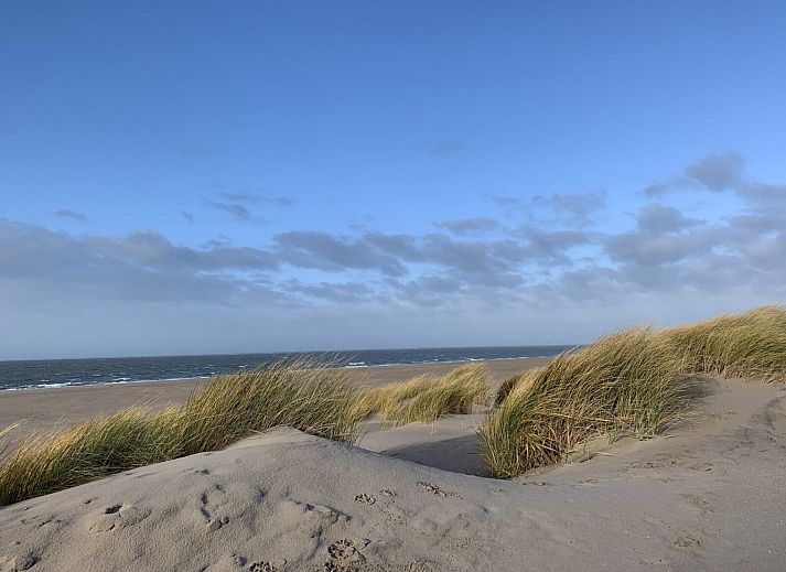 Unterkunft 6601288 - Ferienhaus Goeree-Overflakkee - Strandpark Duynhille 4