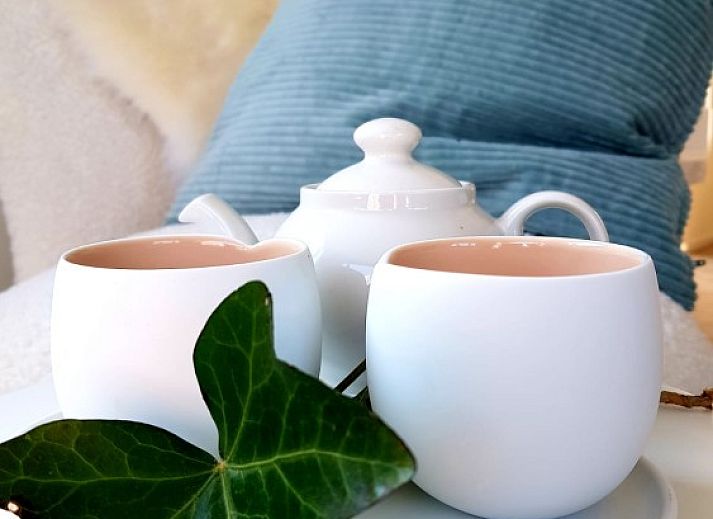 Geraeumige Terrasse des Chalets Thuiz in Ouddorp, ideal fuer Entspannung im Freien auf Goeree-Overflakkee.