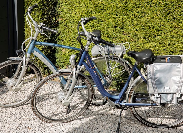 Geraeumige Terrasse des Chalets Thuiz in Ouddorp, ideal fuer Entspannung im Freien auf Goeree-Overflakkee.