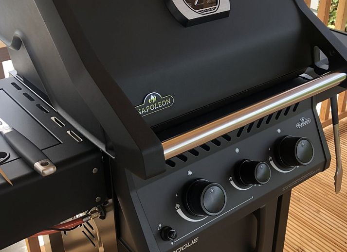 Sonnige Terrasse des Chalets Thuiz in Ouddorp, Suedholland, perfekt fuer das Leben im Freien und das Geniessen der Natur.