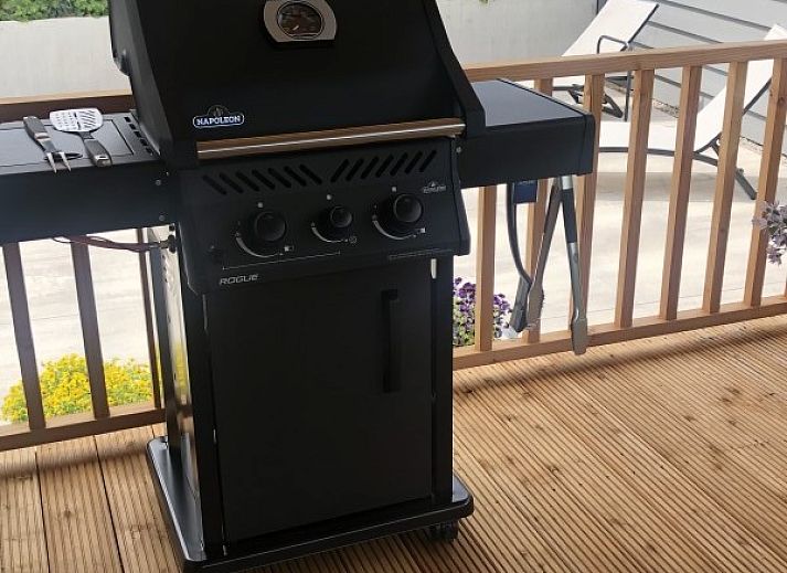 Sonnige Terrasse des Chalets Thuiz in Ouddorp, Suedholland, perfekt fuer das Leben im Freien und das Geniessen der Natur.