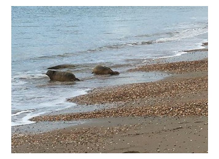 Stijlvolle woonkamer van DichterbijZee vakantiehuis in Ouddorp met moderne inrichting en gezellige zithoek in Zuid-Holland.