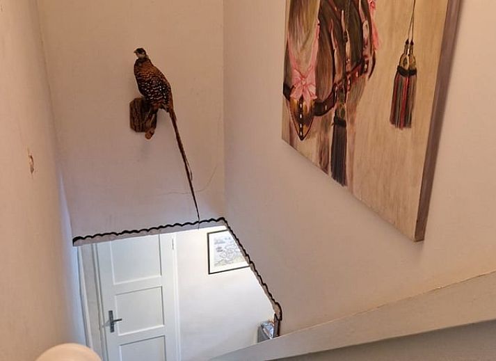 Bright conservatory overlooking garden in Holiday home in Ouddorp, Goeree-Overflakkee.