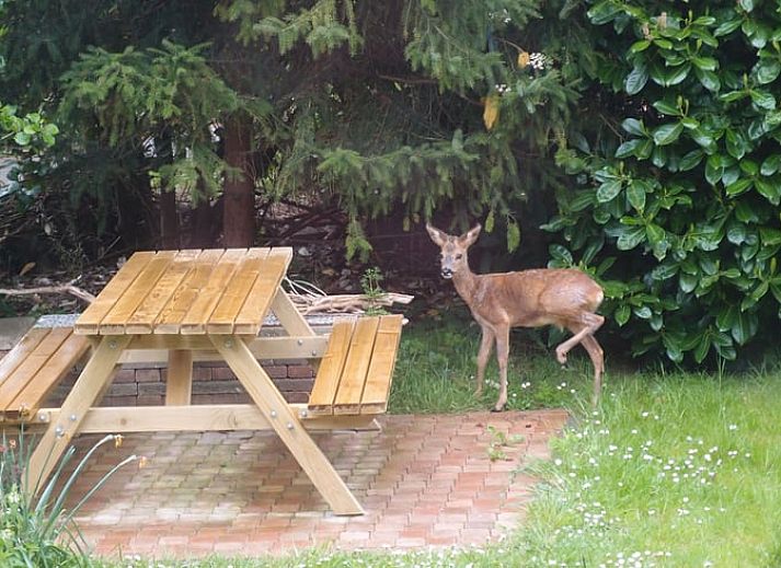 Dining area with wooden table in Holiday home in Ouddorp, South Holland.