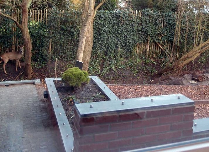 Modern dining room with glass table in Holiday home in Ouddorp, Goeree-Overflakkee.