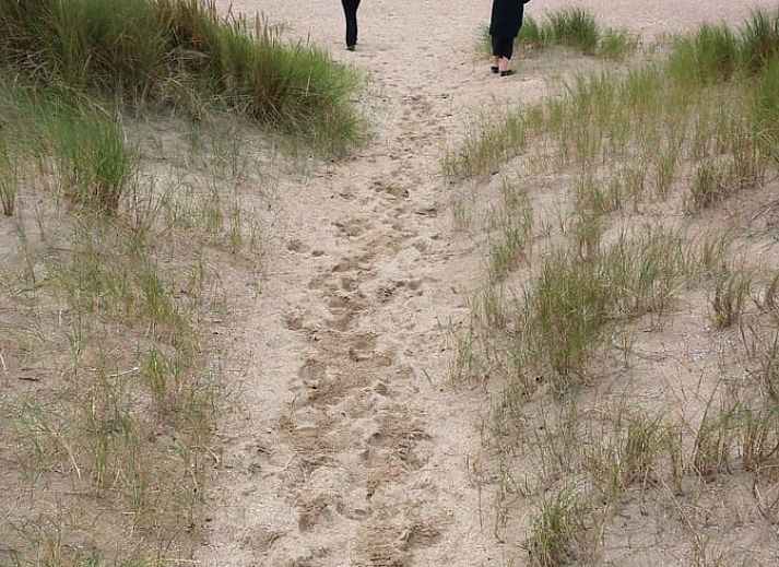 Modern dining room with glass table in Holiday home in Ouddorp, Goeree-Overflakkee.