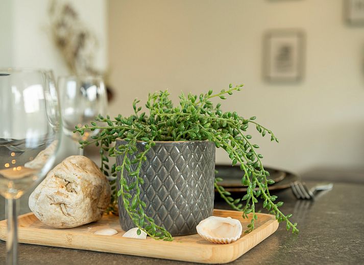 Gezellig terras met schommelstoel bij Vakantiewoning De Toekomst 107 'Siesta' in Ouddorp, perfect voor een ontspannen middag.