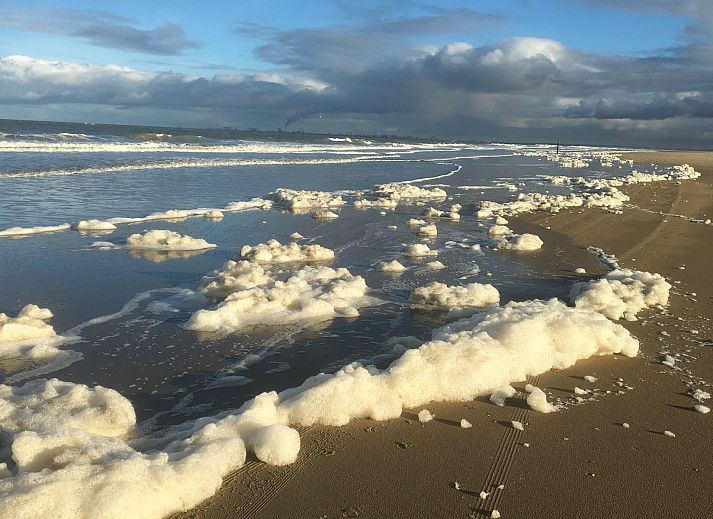 Offene Kueche und Wohnzimmer des Ferienhauses De Toekomst 126 Beachgarden in Ouddorp, ideal zum Entspannen.