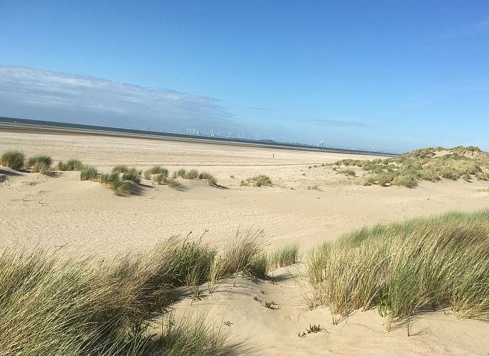 Offene Kueche und Wohnzimmer des Ferienhauses De Toekomst 126 Beachgarden in Ouddorp, ideal zum Entspannen.