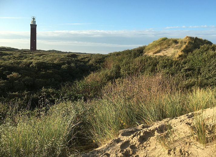 Offene Kueche und Wohnzimmer des Ferienhauses De Toekomst 126 Beachgarden in Ouddorp, ideal zum Entspannen.