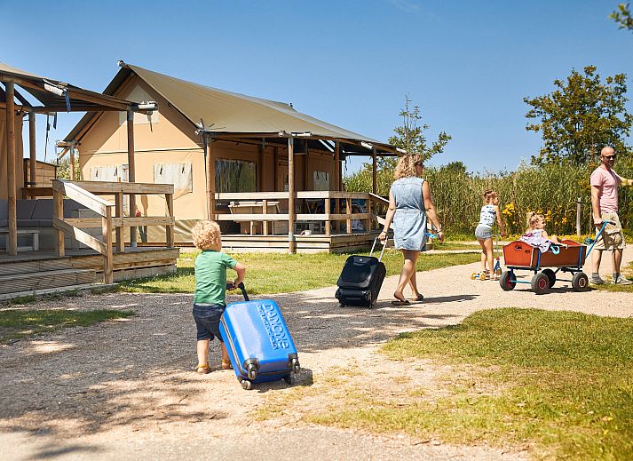 Veranda des Safarizeltes Duinroos in Ouddorp, einer Glamping Lodge in Goeree-Overflakkee, Suedholland, umgeben von gruener Natur.
