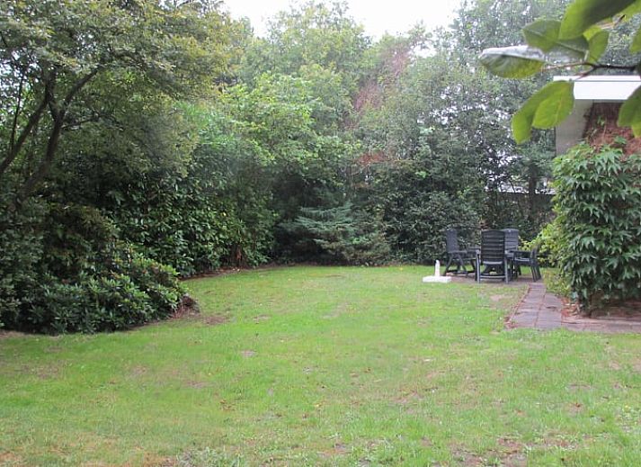 Ferienhaus in Ouddorp mit gruener Fassade, gelegen in der Natur von Goeree-Overflakkee, Suedholland, mit Garten und Liegestuehlen.