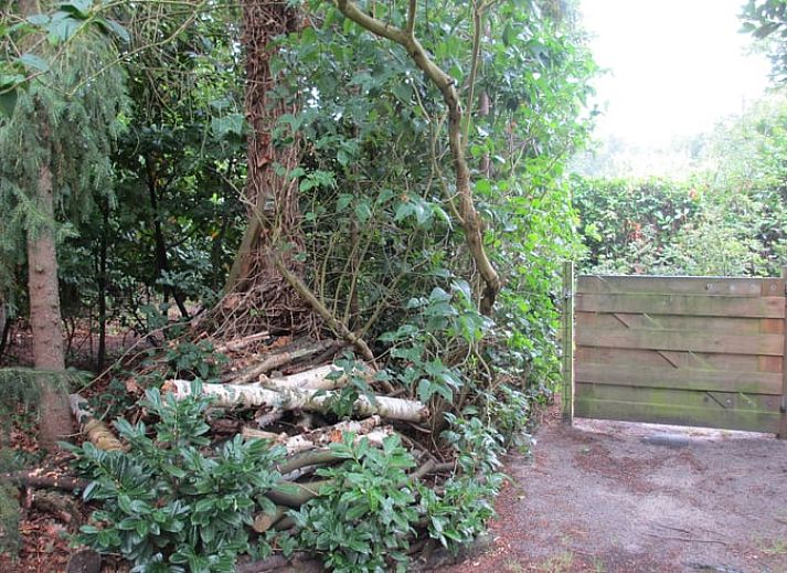 Ferienhaus in Ouddorp mit gruener Fassade, gelegen in der Natur von Goeree-Overflakkee, Suedholland, mit Garten und Liegestuehlen.