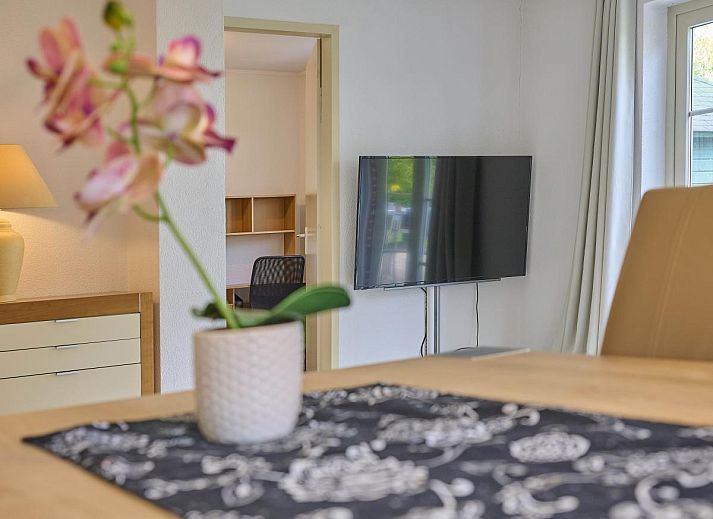 Gezellige woonkamer in Villa Robinie, vakantiehuis in Oude-Tonge, met open haard en ruime zithoek, Goeree-Overflakkee.