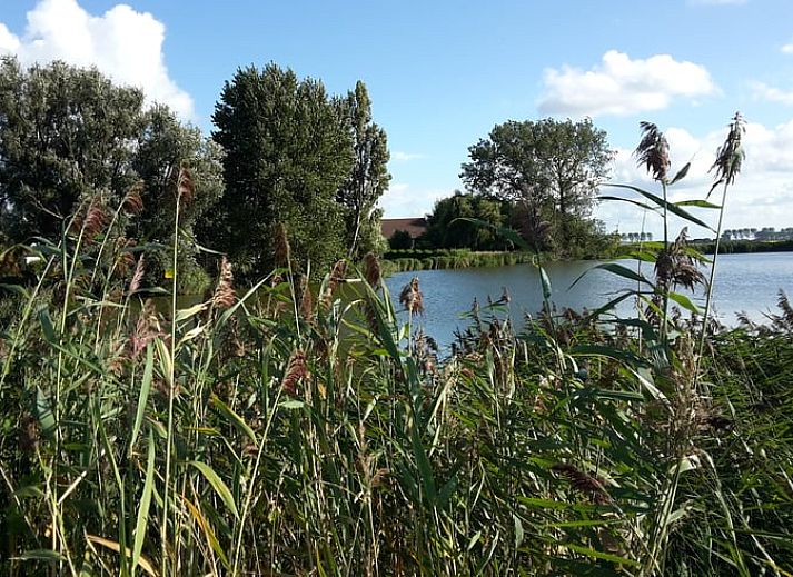 Gemuetliches Wohnzimmer von Huisje in Ooltgensplaat, Ferienhaus in Suedholland mit Holzinterieur.