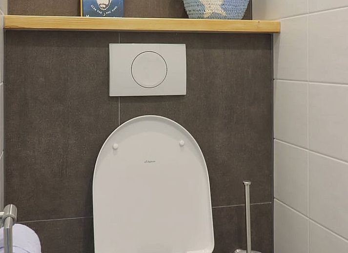 Blumenwiese im Ferienhaus in Sommelsdijk, Goeree-Overflakkee, Suedholland. Geniessen Sie den farbenfrohen Garten in diesem Ferienhaus.