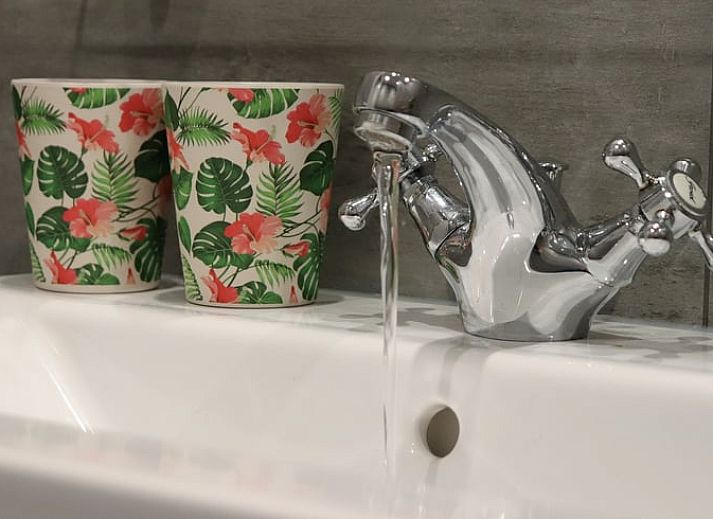 Blumenwiese im Ferienhaus in Sommelsdijk, Goeree-Overflakkee, Suedholland. Geniessen Sie den farbenfrohen Garten in diesem Ferienhaus.