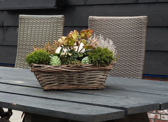 Fruehling im Ferienhaus in Sommelsdijk, Goeree-Overflakkee, Suedholland. Bluehende Baeume umgeben dieses gemuetliche Ferienhaus.