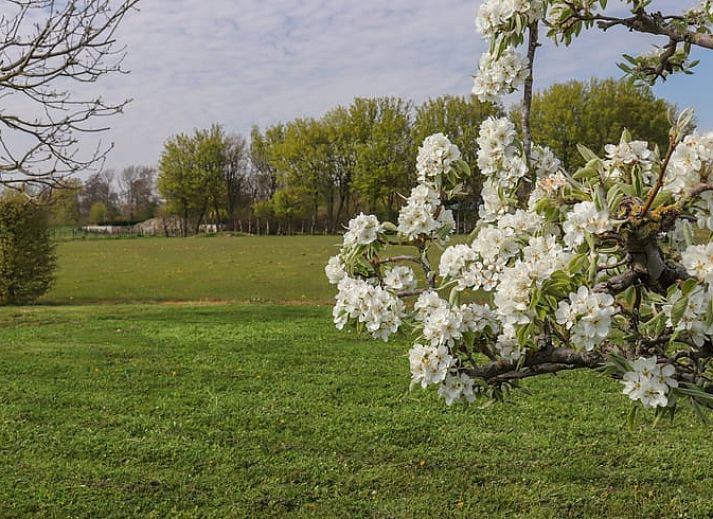 Modernes Badezimmer im Ferienhaus in Sommelsdijk, Goeree-Overflakkee, Suedholland. Komfort und Stil kommen in diesem Raum zusammen.