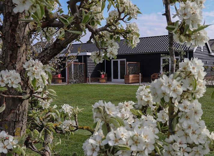 Stilvolle Dusche und Toilette im Ferienhaus in Sommelsdijk, Goeree-Overflakkee, Suedholland. Geniessen Sie luxurioese Annehmlichkeiten.