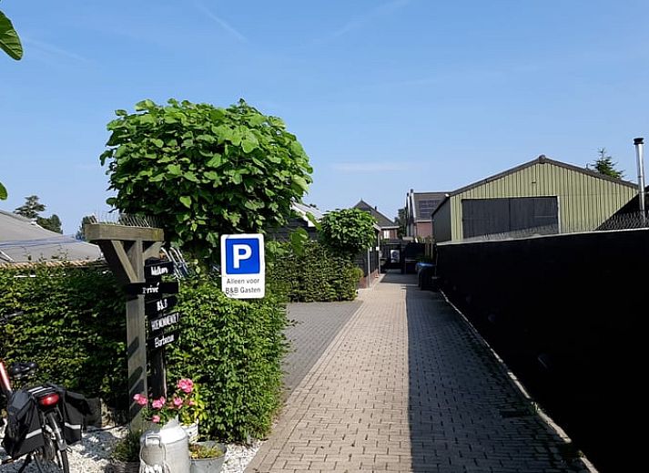 Waschbecken mit dekorativen Tassen im Ferienhaus in Sommelsdijk, Goeree-Overflakkee, Suedholland. Ein Hauch von Tropen im Badezimmer.