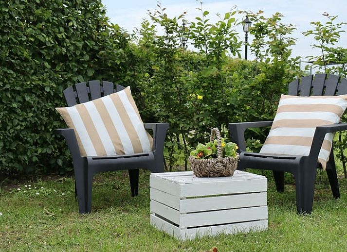 Waschbecken mit dekorativen Tassen im Ferienhaus in Sommelsdijk, Goeree-Overflakkee, Suedholland. Ein Hauch von Tropen im Badezimmer.