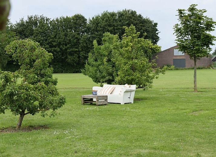 Waschbecken mit dekorativen Tassen im Ferienhaus in Sommelsdijk, Goeree-Overflakkee, Suedholland. Ein Hauch von Tropen im Badezimmer.