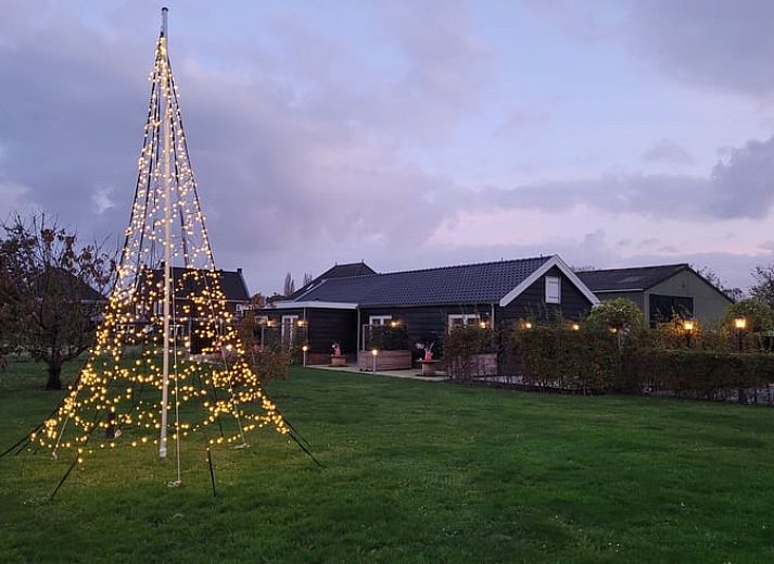 Waschbecken mit dekorativen Tassen im Ferienhaus in Sommelsdijk, Goeree-Overflakkee, Suedholland. Ein Hauch von Tropen im Badezimmer.
