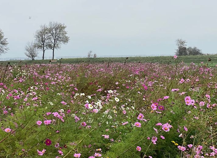 Stilvolle Kueche und Essecke im Huisje in Sommeldsijk, Ferienhaus in Zuid-Holland.