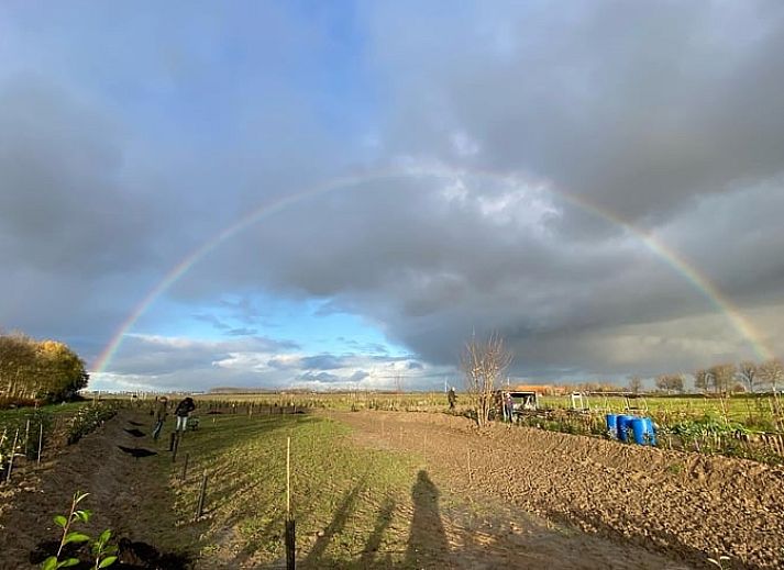 Stilvolle Kueche und Essecke im Huisje in Sommeldsijk, Ferienhaus in Zuid-Holland.
