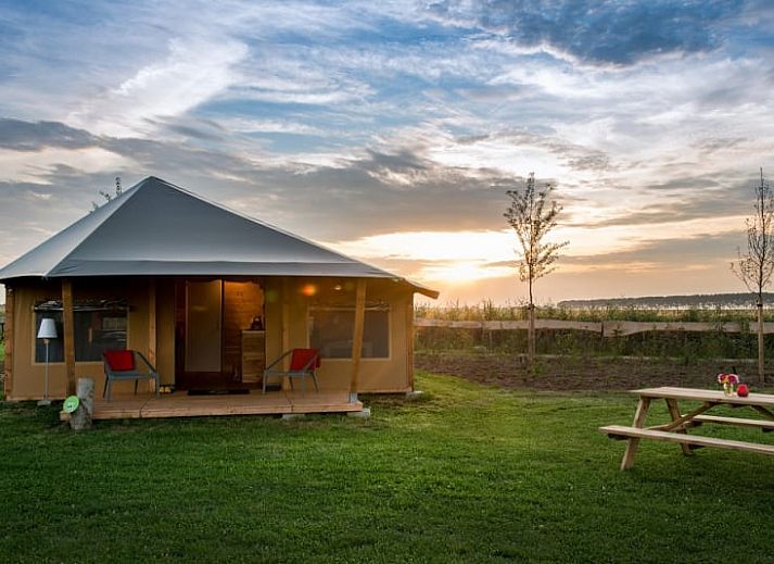 Unterkunft 660719 - Zelthaus Goeree-Overflakkee - Haytent