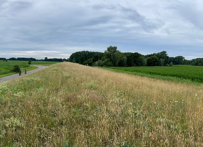 Ruime woonkamer in Vakantiehuisje in Goedereede, met houten balken en comfortabele zitplaatsen.