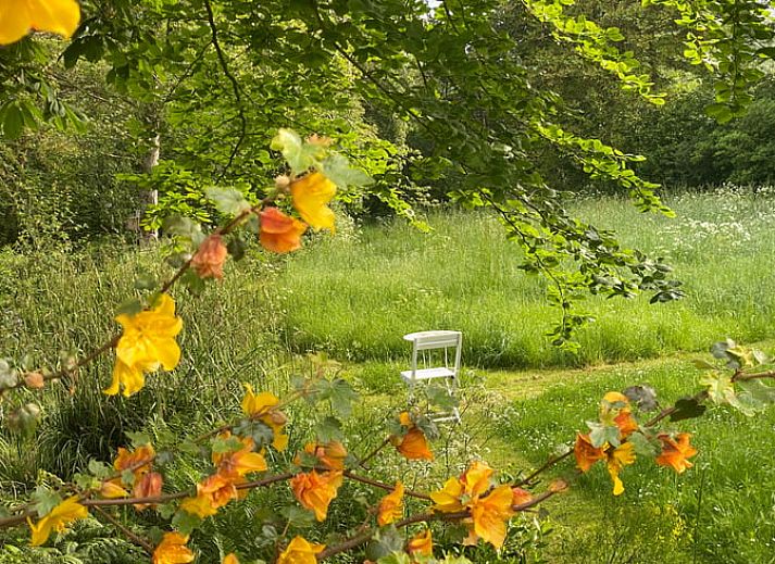 Ruime woonkamer in Vakantiehuisje in Goedereede, met houten balken en comfortabele zitplaatsen.
