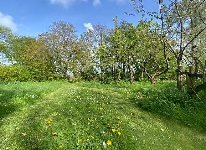 Moderne keuken in Vakantiehuisje in Goedereede, Goeree-Overflakkee, met eettafel en houten vloer.