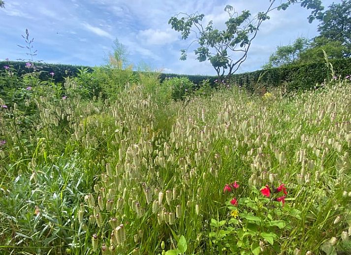 Moderne keuken in Vakantiehuisje in Goedereede, Goeree-Overflakkee, met eettafel en houten vloer.