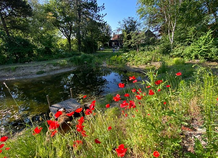 Moderne keuken in Vakantiehuisje in Goedereede, Goeree-Overflakkee, met eettafel en houten vloer.