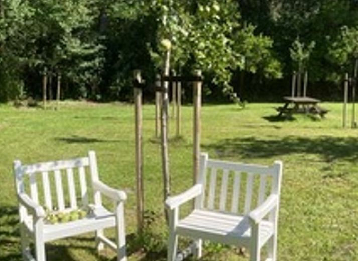 Gemuetliches Ferienhaus in Goedereede mit rotem Dach und gruener Umgebung in Suedholland.