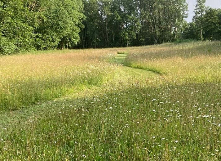 Gemuetliches Ferienhaus in Goedereede mit rotem Dach und gruener Umgebung in Suedholland.