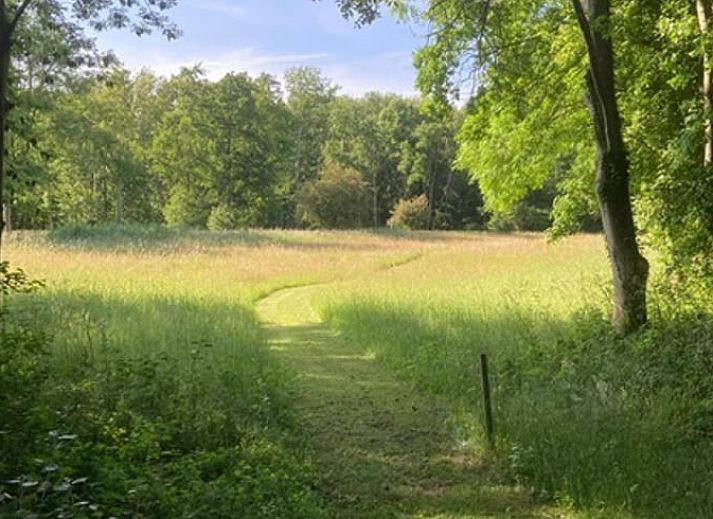 Gemuetliches Ferienhaus in Goedereede mit rotem Dach und gruener Umgebung in Suedholland.