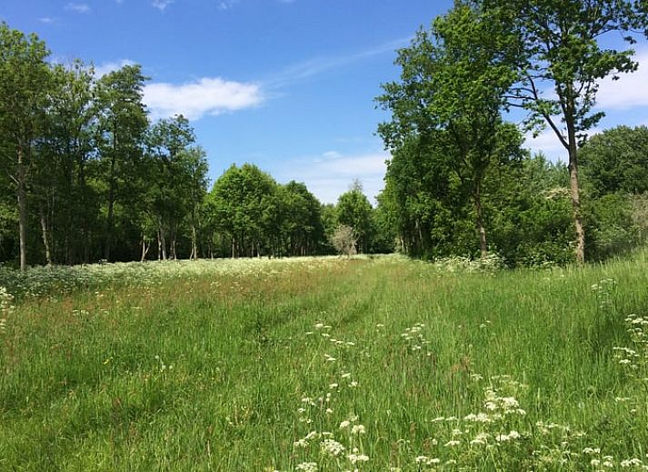 Gemuetliches Ferienhaus in Goedereede mit rotem Dach und gruener Umgebung in Suedholland.