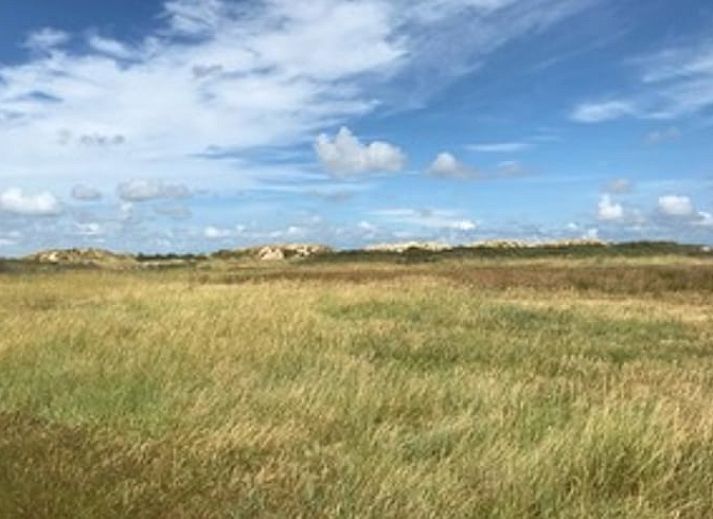 Terrasse des Ferienhauses in Goedereede mit Holzmoebeln und Sonnenschirm auf Goeree-Overflakkee.