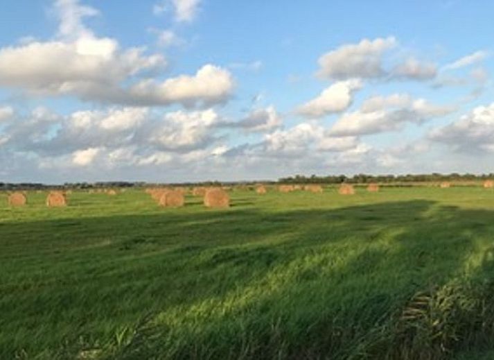 Terrasse des Ferienhauses in Goedereede mit Holzmoebeln und Sonnenschirm auf Goeree-Overflakkee.
