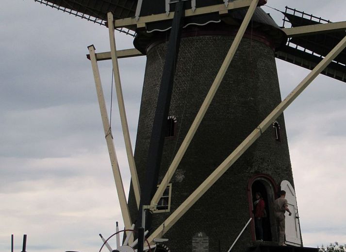 Verblijf 661021 - Appartement Goeree-Overflakkee - Appartement Gemütliches Mobilheim mit 3 Schlafzimmern