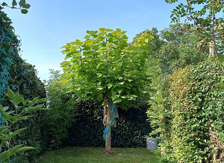 Verblijf 661021 - Appartement Goeree-Overflakkee - Appartement Gemütliches Mobilheim mit 3 Schlafzimmern