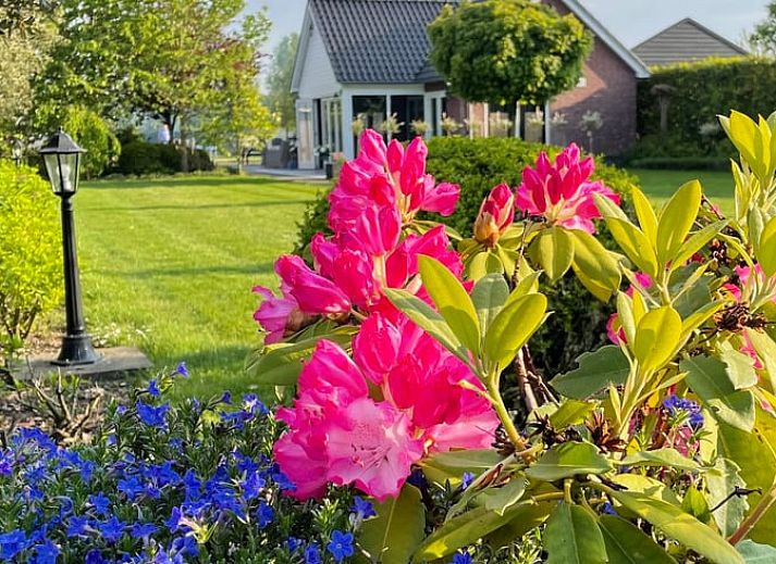 Cottage in Dirksland cottage in Goeree-Overflakkee with beautiful garden view.