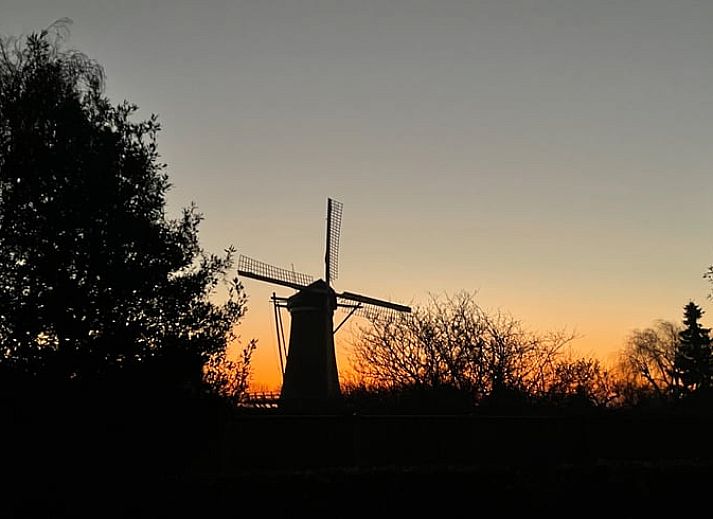 Cottage in Dirksland cottage in Goeree-Overflakkee with beautiful garden view.