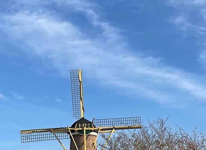 Terrace of Cottage in Dirksland vacation home in South Holland with comfortable outdoor seating.