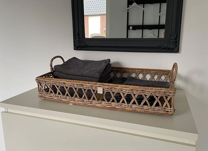 Flowering garden at Cottage in Dirksland vacation home in South Holland with colorful flowers.